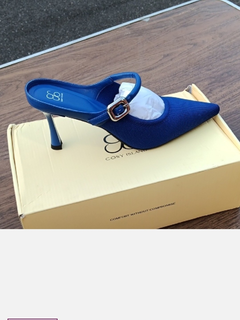 Cosy Island Blue Pointed-Toe Mary Jane Mule with Buckle
